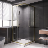 Душевой угол раздвижной 1200Х900x2000 цвет профиля Золото брашированное стекло прозрачное  PTC20-G-12090-01-C4 Premium Veconi